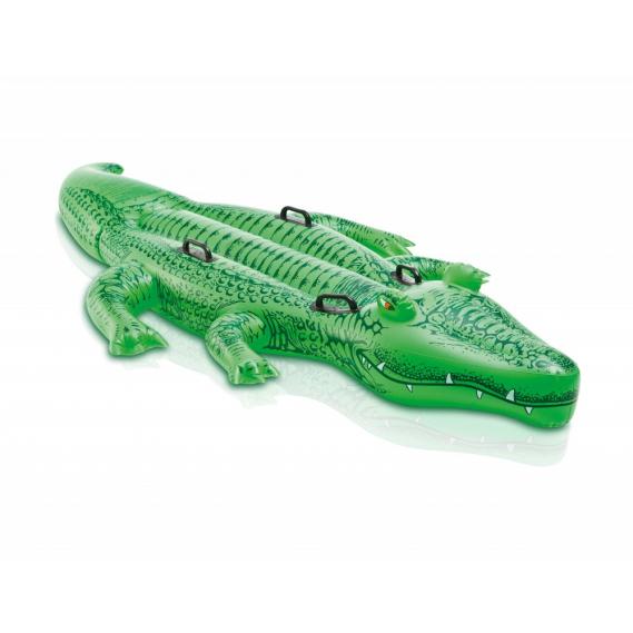 Reittier Intex Alligator