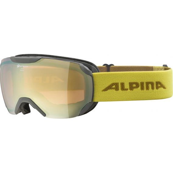 Schneebrille Alpina Pheos S 2019/20