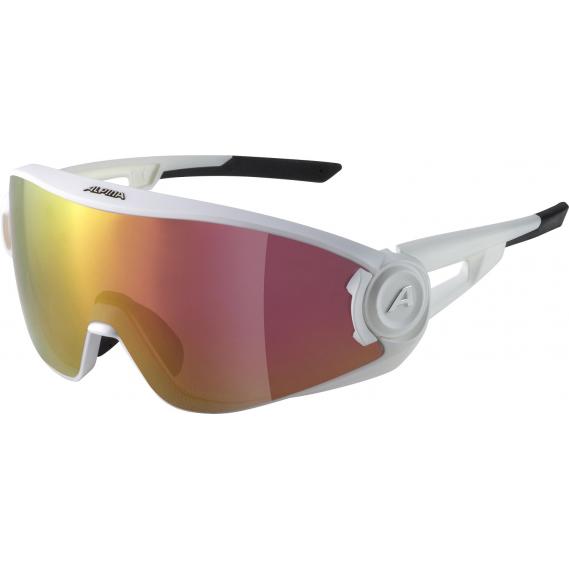 Sonnenbrille Alpina 5W1NG QV 2022/23