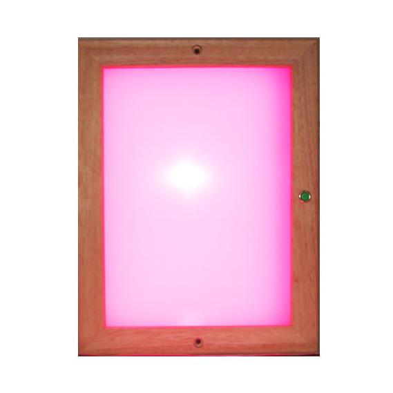 Infrarot Farblichtpaneel LED mit Fernb. Zanier 2021/22